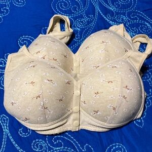 2. New Daisy Bras
